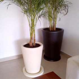 conica1
