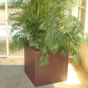 cubica1