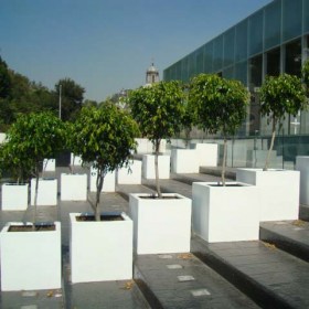 cubica22