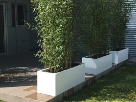 jardinera1
