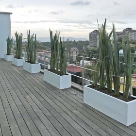 jardinera39