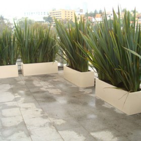 jardinera3