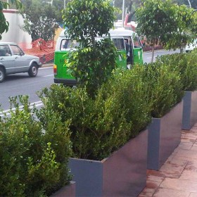 jardinera49