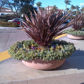 semiesfera2