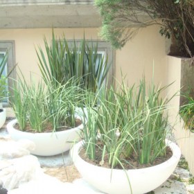 semiesfera3